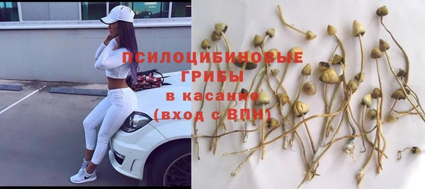эйфоретик Зеленодольск