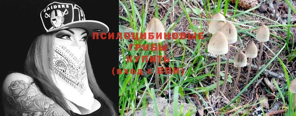альфа пвп Куйбышев