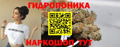 каннабис Ачхой-Мартан
