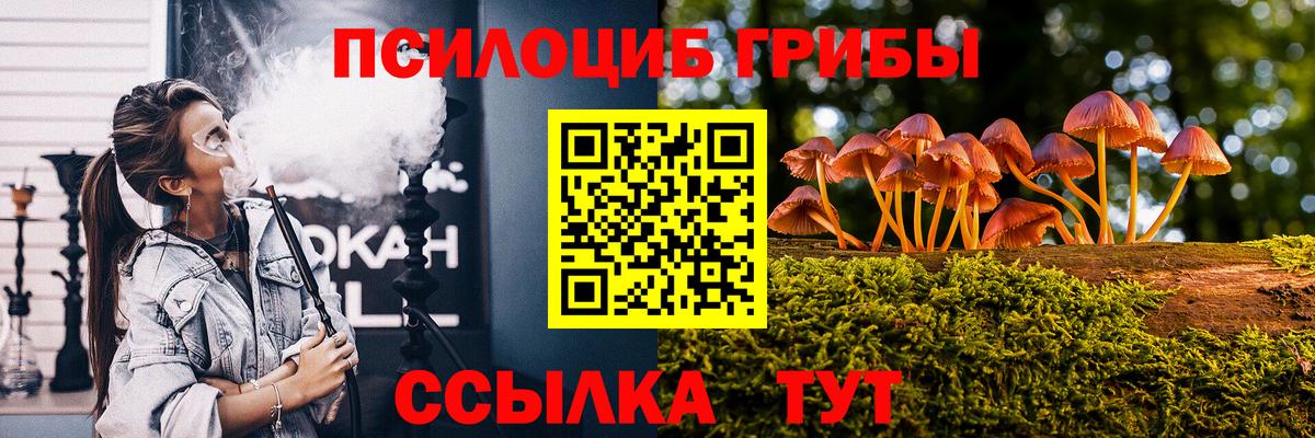 магазин продажи наркотиков  Вход с VPN  Сальск  Галлюциногенные грибы Psilocybine cubensis 