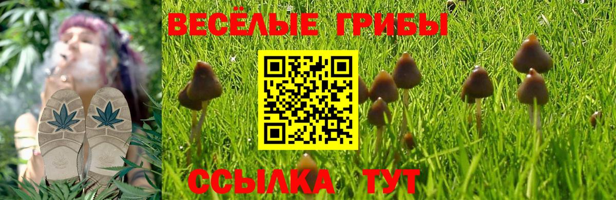 Галлюциногенные грибы мухоморы Сальск