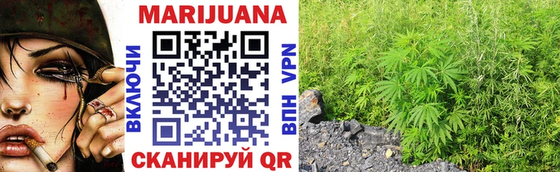 продажа наркотиков  Сальск  MEGA зеркало  Шишки марихуана THC 21% 
