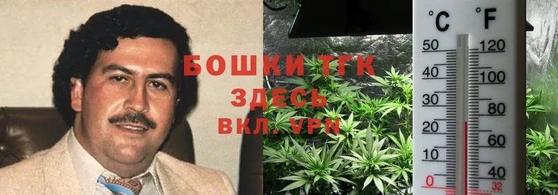 Канабис Bruce Banner  Сальск 
